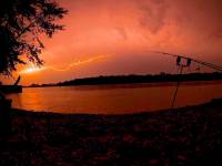 Michaël DESSEREY - MICHAEL DESSEREY