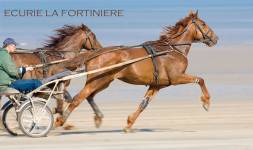 BIGNOLAIS PASCAL - STUDIO NOMADE