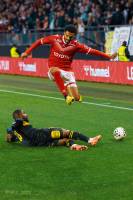 Albert LICTEVOUT - Albert Lictevout